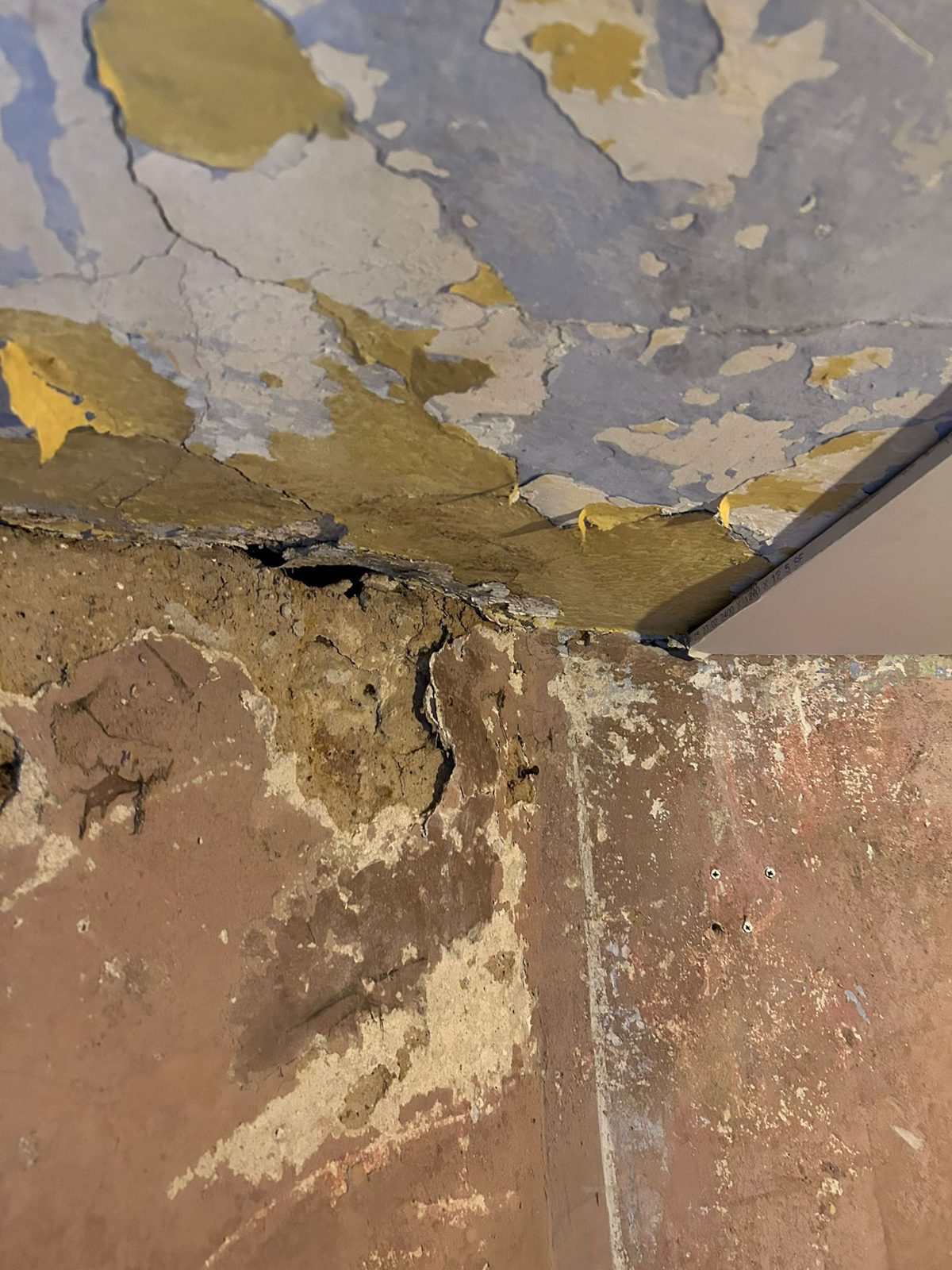 Crumbling plaster and flaking paint where a wall meets the ceiling